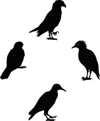 Obraz premium Lone tree silhouette against a dark sky