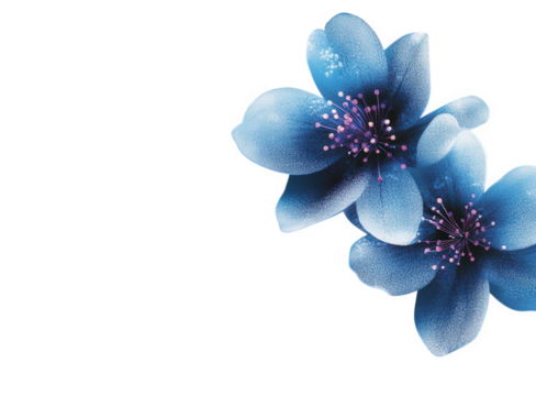Two blue flowers with glitter effect isolated on transparent background