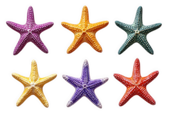 Six colorful starfish isolated on transparent background