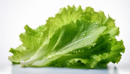 fresh lettuce leaf with dew kissed water droplets glistening on its surface against a clean white background