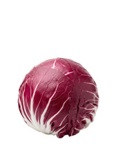 Obraz premium Vibrant, deep crimson radicchio head with smooth, pristine leaves, captured in a close-up with soft studio light on a transparent background with copy space, concept of premium fresh produce