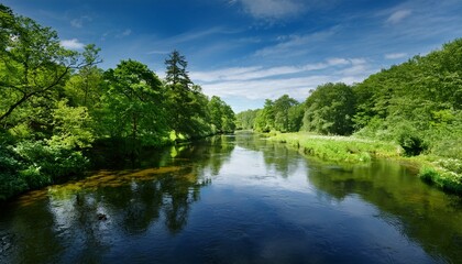 Obraz premium serene river landscape lush green foliage and calm waters