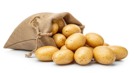 Freshly harvested potatoes spilling out of a rustic burlap sack with white background