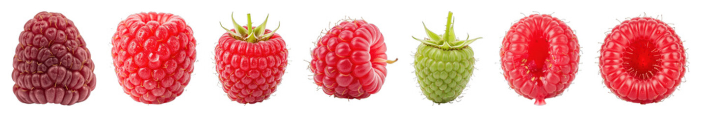 Raspberry set including whole, unripe, and internal stages isolated. Fresh fruit and berry collection.
