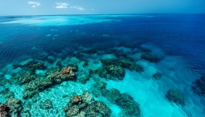 Fototapeta premium turquoise water surface with dark seabed formations visible from above creating a beautiful contrast of colors in a tropical paradise