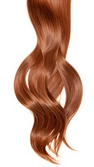 Fototapeta premium A vibrant, healthy-looking strand of auburn hair displays gorgeous, glossy curls against a pure white background.
