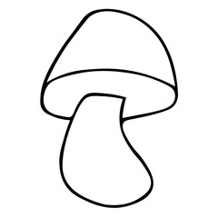  Hand drawn sketch style mushroom. useful boletus mushrooms. mushroom outline coloring page kids book vector Illustration.
