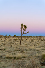 Obraz premium Outreach