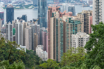 Obraz premium View of Hong Kong and Kowloon from Victoria peak. Panorama of Hong Kong, skyscrapers and nature.