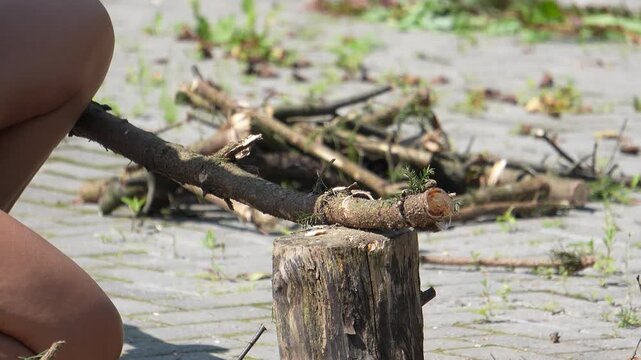 Tree cutting. Woman chopping wood with an axe, woman with an axe harvesting wood, slow motion 4k video of tree cutting