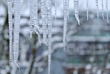 A row of beautiful, frozen icicles hangs down, with glistening water droplets at their tips, hinting at the slow, gradual process of melting.