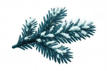 Snowy pine branch spreading winter charm, white frost coating needles against transparent backdrop, seasonal holiday imagery