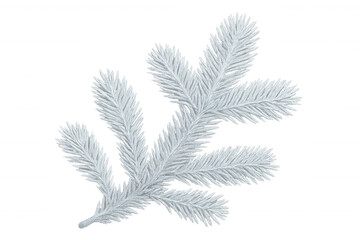 Naklejka premium Silver fir branches spreading holiday cheer, decorating winter backgrounds with festive evergreen elegance