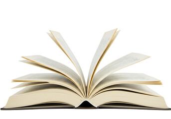 開かれた本、柔らかな光に包まれて静かに佇む