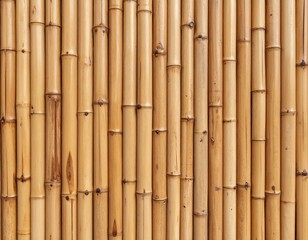 Fototapeta premium Full Frame of a Natural Bamboo Fence or Wall bamboo background texture