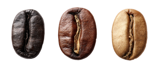 Image of coffee beans separated into dark roast, medium roast, and light roast. Ai generate.	
