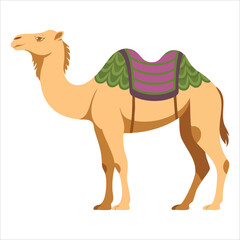 colorfully decorated desert transport animal vector art isolated on white background