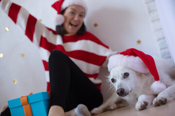Festive woman in red and white striped sweater with Santa hat sits beside her dog, also wearing a Santa hat, next to a blue gift box, celebrating Christmas indoors.