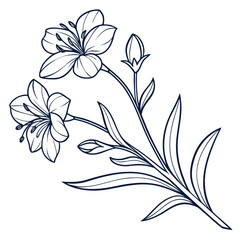 commelina coel coelestis with leaves