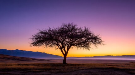 Fototapeta premium A lone tree stands silhouetted against a vibrant sunrise over a vast, flat landscape, with a backdrop of distant mountains bathed in warm, colorful hues.