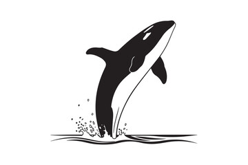 Majestic orca killer whale breaching from the ocean waves