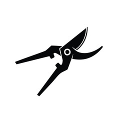 Pruning shears tool for garden plant trimming and maintenance vector