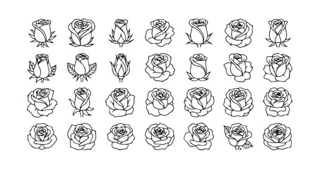 Rose line art icon bundle illustration