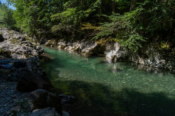 Fototapeta premium mountain river in the forest with clear green water and a natural pool in between rocks and trees in the nature of Bregenzer Wald in Vorarlberg Austria
