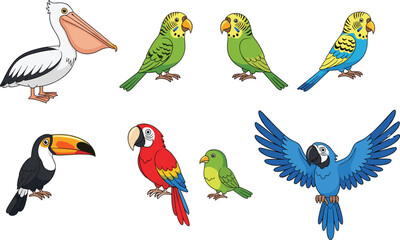 Naklejka premium Cartoon vector illustration of exotic tropical birds including parrots, pelican, toucan, budgies, and macaw characters isolated on white background.