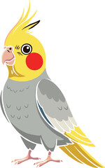 Cute cockatiel parrot cartoon illustration, yellow and grey bird with red cheeks and crest, pet cockatiel vector animal clipart