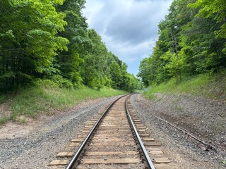 Obraz premium lonely train tracks in the forest with a cloudy sky