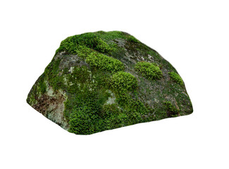 stone covered with moss isolated on white background