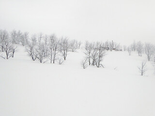 Powder Mountain ski resort in Utah, USA	