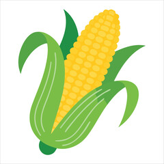 Obraz premium fresh corn cob with husk vector isolated on white