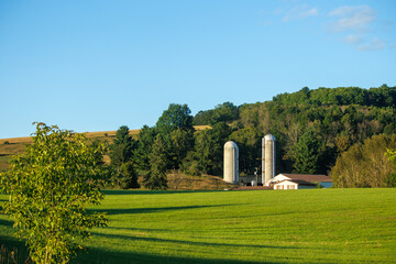rural landscape with a farm