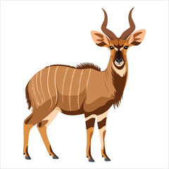 graceful antelope standing isolated on plain white background