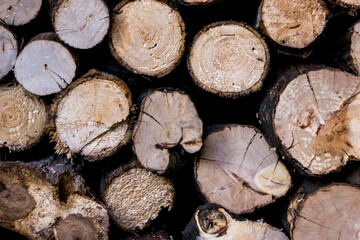 stack of logs