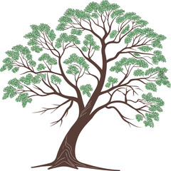 Stylized illustration of a mature deciduous tree with green foliage