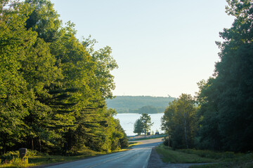 the road in the forest going to the lake
