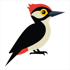colorful cartoon bird illustration perfect for kids� brands on white background