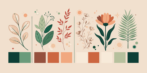 Bohemian botanical illustration with color palettes and abstract elements
