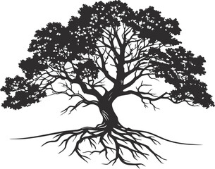 Silhouette of a large ancient tree with exposed roots against a white background