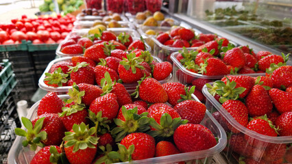 Sale of ripe juicy strawberries. Strawberries sorted in plastic containers. Sale of berries,...