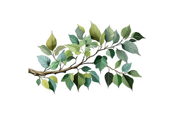 delicate leafy branch with subtle green and light brown hues, no background