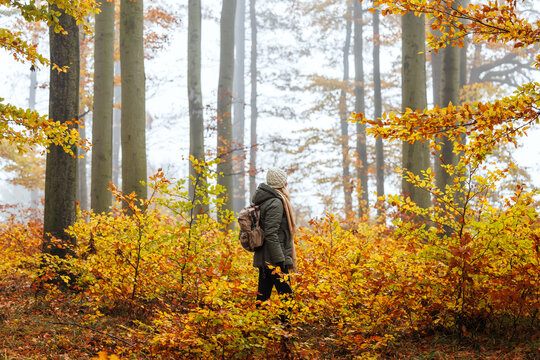 Woman hiker with backpack standing in foggy autumn woodland,  ready for adventure and wilderness exploration. Forest bathing