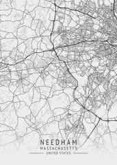 Needham - Massachusetts - US Gray Map Art