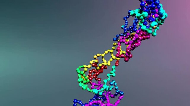 sequence of biological compounds known as amino acids that form proteins, represented in three-dimensional format