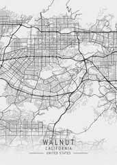 Walnut - California - US Gray Map Art