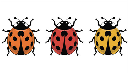 three colorful ladybugs with black spots on white background