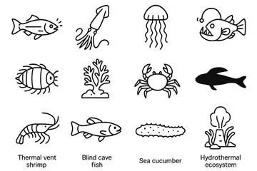 Obraz premium Marine Biodiversity Icons. Line style icons of marine biodiversity tracking: bioluminescent fish, giant squid, deep-sea jellyfish,